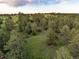 Lush green landscape showcasing mature trees and grassy meadows under a partly cloudy sky at 5506 Irish Pat Murphy Dr, Parker, CO 80134