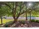 Well-maintained front yard featuring mature trees, decorative rock, a charming light post, and lush green grass at 5506 Irish Pat Murphy Dr, Parker, CO 80134