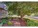 Charming front yard with a brick walkway, lush landscaping, mature trees, and a classic outdoor lantern at 5506 Irish Pat Murphy Dr, Parker, CO 80134