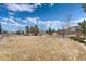 A large and open backyard featuring green space, trees, and other landscaping elements at 5372 Lenox Ct, Castle Rock, CO 80104