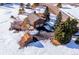 Aerial view of a two-story home featuring a two-car garage, deck, storage shed, and mature trees at 9019 Armadillo Trl, Evergreen, CO 80439