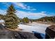 Scenic view of the property with a mix of trees and meadow with mountain view at 9019 Armadillo Trl, Evergreen, CO 80439