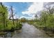 A scenic river flowing through a wooded area, surrounded by lush green vegetation at 2770 S Elmira St # 42, Denver, CO 80231