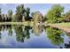 A lovely pond reflecting the sky and surrounding trees at 13961 E Marina Dr # 414, Aurora, CO 80014