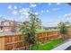 Well-maintained backyard featuring a vibrant green lawn, a wood fence, and young trees under a partly cloudy sky at 645 Flintwood Pl, Lafayette, CO 80026