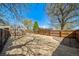 Large backyard with a well-maintained lawn, privacy fence, and mature trees providing ample shade at 7275 E 8Th Ave, Denver, CO 80220