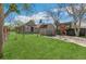 Lush backyard with a well-maintained lawn, a shed, and a secure chainlink fence at 4353 Sherman St, Denver, CO 80216
