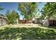 Grassy backyard with shed, deck, fence, and mature trees at 4833 S Pitkin Ct, Aurora, CO 80015