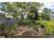 Lush community garden with a variety of plants, perfect for gardening enthusiasts to cultivate their green thumbs at 850 W Moorhead Cir # 3L, Boulder, CO 80305
