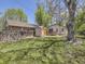 Spacious backyard featuring a shed and mature trees at 6047 S Hill St, Littleton, CO 80120