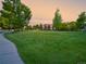 Expansive green space with manicured lawn and mature trees, perfect for outdoor activities and community events at 11681 Night Heron Dr, Parker, CO 80134
