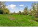 Lush green field with scattered trees, a serene natural landscape at 9632 W Cornell Pl, Lakewood, CO 80227