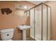 Basement bathroom featuring pedestal sink, toilet, standing shower with sliding glass doors, and buffalo decor at 19653 E Ida Dr, Aurora, CO 80015