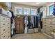 Spacious walk-in closet with custom shelving, three windows, and ample storage space at 2960 High Prairie Way, Broomfield, CO 80023