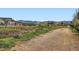 Scenic view of a well-maintained community path with mountain views at 15496 W 66Th Dr # G, Arvada, CO 80007