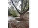 Backyard featuring trees, a patio area, and landscaping at 12381 E Vassar Dr, Aurora, CO 80014
