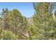 Stunning view of the surrounding trees and mountains providing a sense of tranquility at 1312 Pine View Rd, Golden, CO 80403