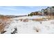 Open snowy space with neighborhood view in background at 1128 Starglow Pl, Highlands Ranch, CO 80126