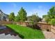 Well-maintained backyard with lush green grass, privacy fence, and mature trees, perfect for outdoor entertaining at 4821 Bluegate Dr, Highlands Ranch, CO 80130