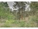 Lush greenery surrounds a natural playground area in this expansive backyard at 9209 William Cody Dr, Evergreen, CO 80439
