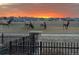 A backyard view with elks grazing and a vibrant sunset sky at 3214 Heron Lakes Pkwy, Berthoud, CO 80513