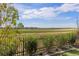 Expansive backyard view overlooking green fields and neighborhood homes, framed by a black metal fence and lush greenery at 3214 Heron Lakes Pkwy, Berthoud, CO 80513