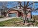 Brick front home with a large tree in the front yard, offering shade and curb appeal at 10486 Cheetah Winds, Lone Tree, CO 80124