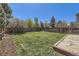 Expansive backyard with green grass, privacy fence, and stone patio area, a great outdoor space at 3734 Licorice Trl, Castle Rock, CO 80109