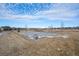 Outdoor basketball court with surrounding homes in view at 4067 S Odessa St, Aurora, CO 80013