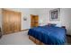 Bedroom featuring soft carpet, closet, and a comfortable bed with a blue comforter and decorative pillows at 10985 Ambush Rock, Littleton, CO 80125