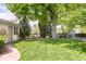 Lush backyard with a large tree, swing, and green lawn creates a serene outdoor space at 1767 S Sherman St, Denver, CO 80210