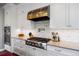Modern kitchen featuring stainless steel appliances and sleek white cabinetry at 6175 Puma Sands, Lone Tree, CO 80124