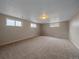 Carpeted basement area with multiple windows providing natural light at 11972 W Dakota Dr, Lakewood, CO 80228