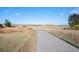 Scenic walking path leading through open grassland with native plants at 6475 S Newcastle Way, Aurora, CO 80016
