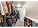 Spacious walk-in closet with ample shelving and storage at 2187 Pineywoods St, Mead, CO 80542