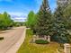 Welcome to Golden Pond, a lush and green community with mature trees and manicured lawns at 301 Widgeon Ln, Longmont, CO 80503
