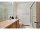 Clean bathroom featuring a shower, vanity, mirror, and sink at 10510 Inspiration Dr, Parker, CO 80138