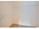 Bright walk-in closet with carpet floor and white wire shelving at 1978 Granger Cir, Castle Rock, CO 80109