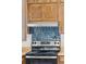 Close-up of the range with stylish blue tiled backsplash at 4522 S Robb St, Littleton, CO 80127