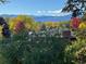 Balcony view features fall foliage, a brick chimney, rooftops, and distant mountains at 2789 S Ivan Way, Denver, CO 80227