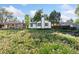 Expansive backyard with view of the house, green grass, and other neighborhood homes in the distance at 2430 Eaton St, Edgewater, CO 80214