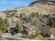 A charming house is shown nestled amongst mature trees and a mountain in the background at 837 Meadow Run, Golden, CO 80403