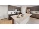 New kitchen boasts granite countertops, stainless steel appliances, and sleek dark brown cabinetry at 4760 Kittredge St, Denver, CO 80239