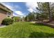 Expansive backyard featuring lush green grass and mature trees, perfect for outdoor activities at 556 Rachael Pl, Castle Pines, CO 80108