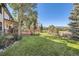 Large grassy backyard featuring a spacious wooden deck, perfect for outdoor relaxation and activities at 6145 S Perry Park Rd, Sedalia, CO 80135