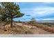 Beautiful backyard view with native trees at 5271 N Mesa Dr, Castle Rock, CO 80108