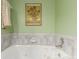 A soothing soaking tub is surrounded by elegant tile and an array of jets at 5271 N Mesa Dr, Castle Rock, CO 80108