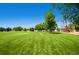 Large manicured lawn with a play area at the community park at 1183 S Pierson Ct, Denver, CO 80232