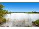 Expansive lake view with emergent vegetation and a serene natural backdrop at 1183 S Pierson Ct, Denver, CO 80232