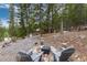 Charming outdoor fire pit nestled among trees with seating, creating a relaxing gathering space at 159 Lake Rd, Idaho Springs, CO 80452